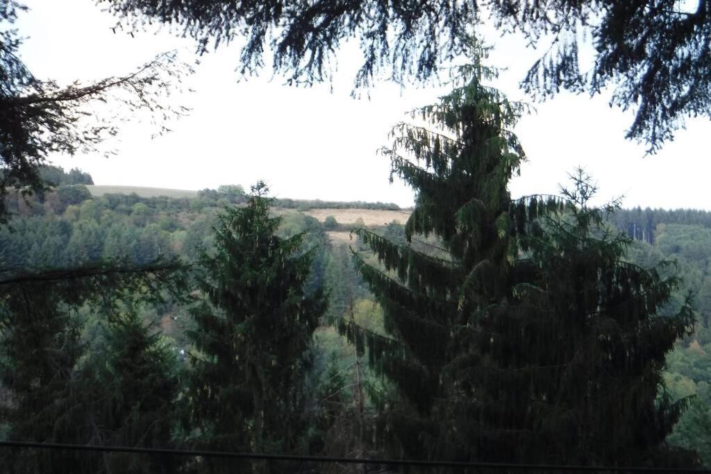 The Vianden Cottage - Charming Cottage In The Forest Exteriör bild