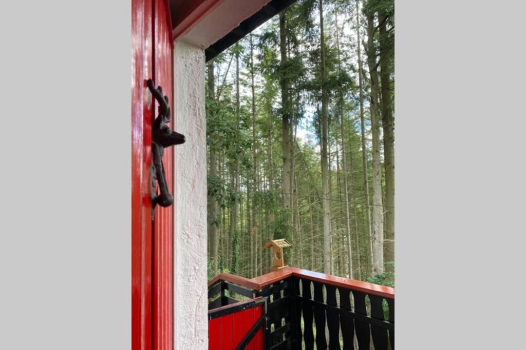 The Vianden Cottage - Charming Cottage In The Forest Exteriör bild